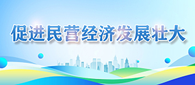 促進民營經(jīng)濟發(fā)展壯大